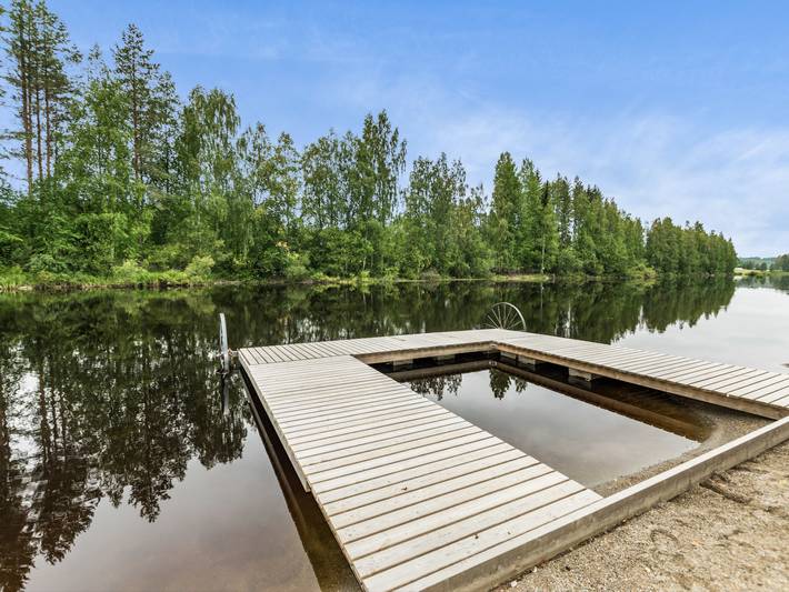 Koivu in Nord-Savo