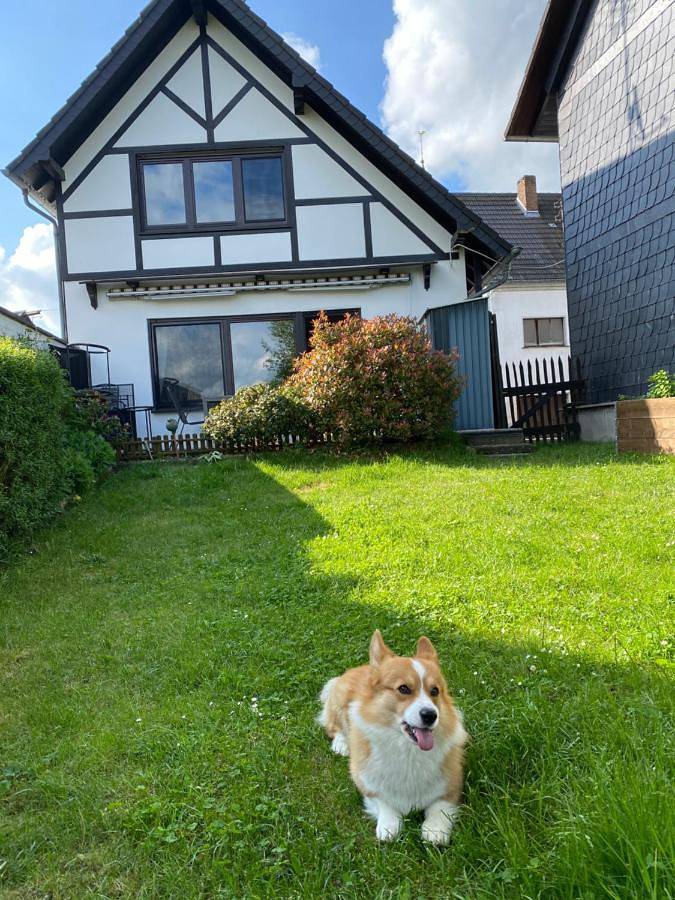 Ferienhaus für 4 Personen, mit Ausblick und Garten, kinderfreundlich im Ahrtal - 4