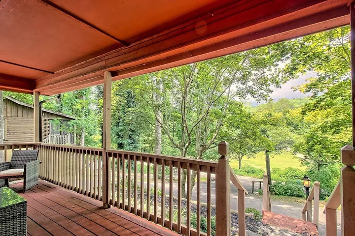 Log cabin for 4 people, with pets - 1