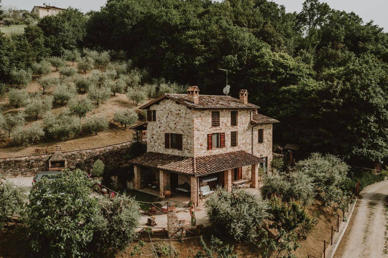 Appartamento intero, Agriturismo Tenuta Capitolini in San Venanzo, Perugia e dintorni