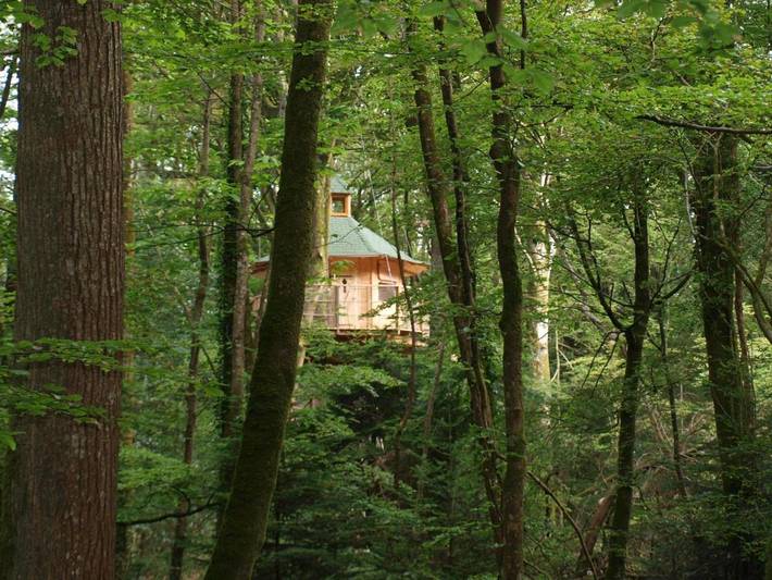 Chambre d’hôte pour 4 personnes, avec Terrasse ainsi que Jardin et Vue à Cléder