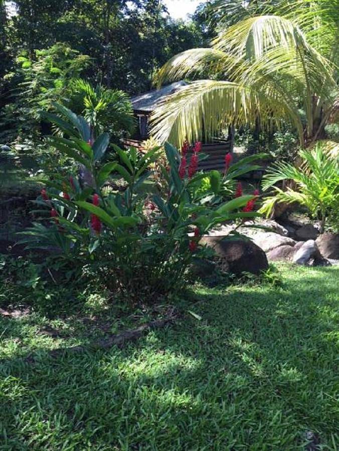 Villa pour 6 personnes, avec piscine et jardin à Deshaies - 3