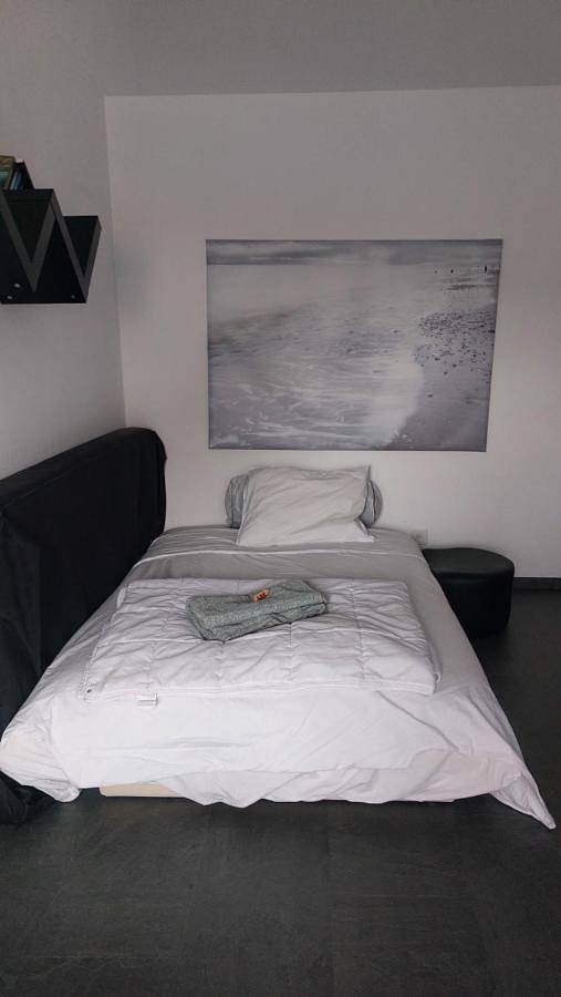 Gîte pour 4 personnes, avec balcon ainsi que vue sur le lac et vue à Belmont-sur-Lausanne - 4