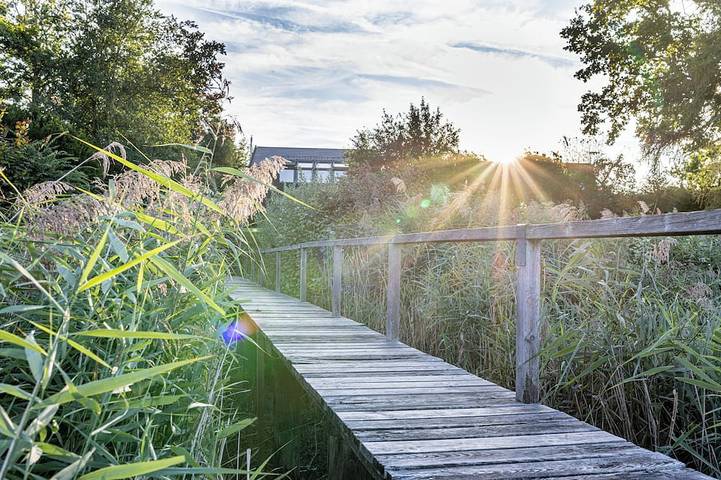 Ferienhaus für 6 Personen, mit Terrasse und Garten sowie Sauna