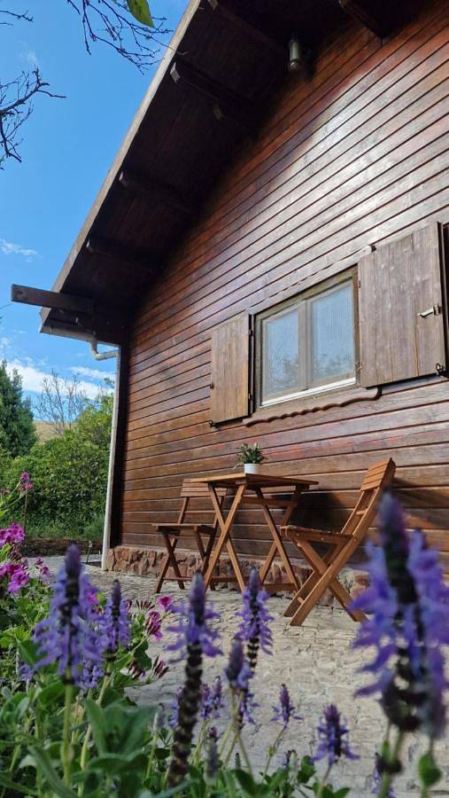 Casa rural para 4 personas, con vistas y jardín, Se admiten mascotas en Silves - 3