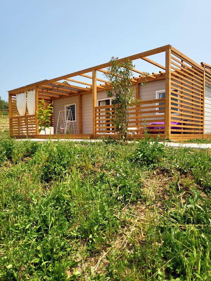 Agriturismo con piscina per 6 persone, con idromassaggio e giardino nonché piscina ad Arezzo