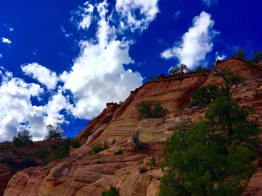 Red Cliffs-Best-Preis! Beste Lage in der Stadt! in Kanab, Grand Staircase Escalante National Monument