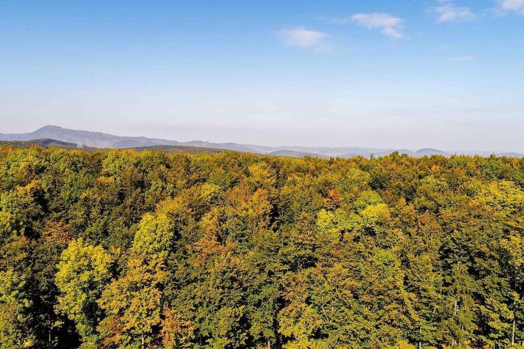 Behagliches Cottage mit Kamin mitten im Wald in Pernitz, Wiener Alpen