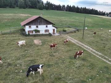 Location de vacances pour 4 personnes, avec terrasse, animaux acceptés dans Canton du Jura