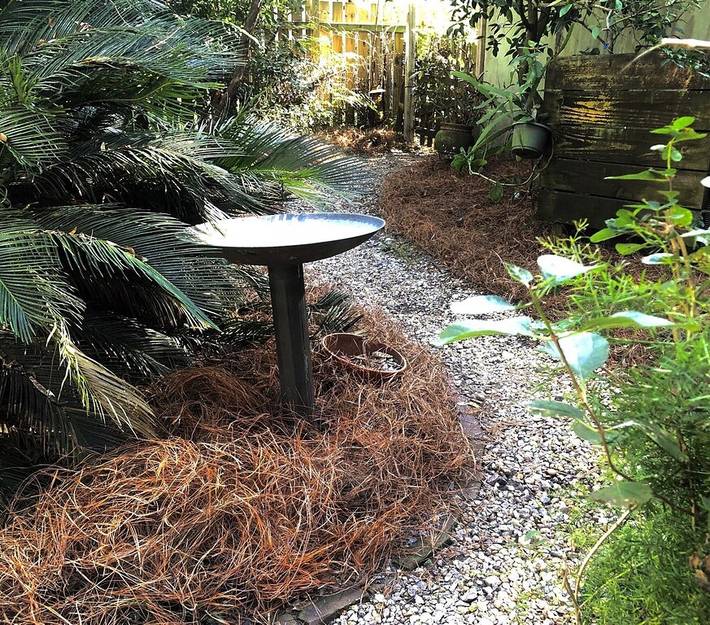 Bed and breakfasts for 6 people in Georgia