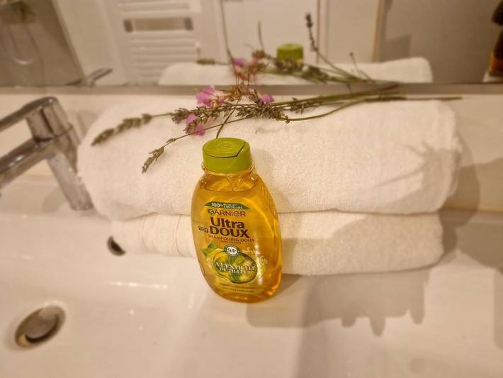 Chambre d’hôte pour 2 personnes, avec Jacuzzi et Terrasse ainsi que Jardin et Vue à Conflans-Sainte-Honorine