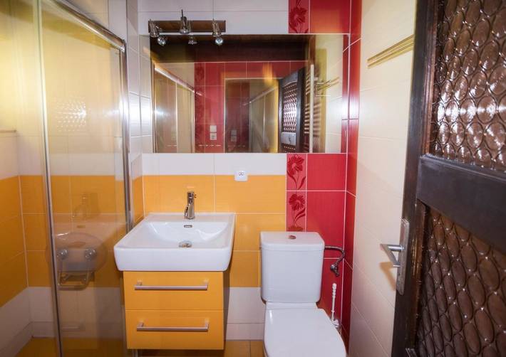 Ferienhaus für 8 Personen, mit Seeblick und Ausblick sowie Garten, mit Haustier in Lipno - 4