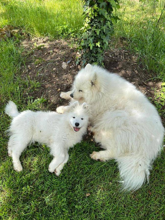 Chambre d’hôte pour 2 personnes, avec jardin ainsi que vue et piscine en Indre-et-Loire - 2