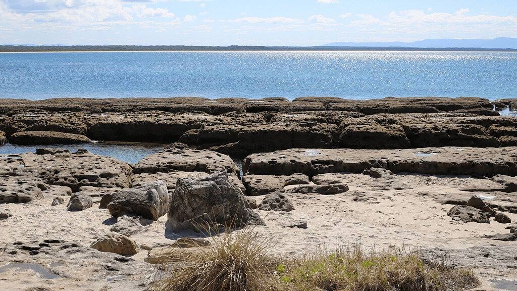 Nest - Haustierfreundlich - 2 Minuten zu Fuß zum Strand in Currarong, Jervis Bay