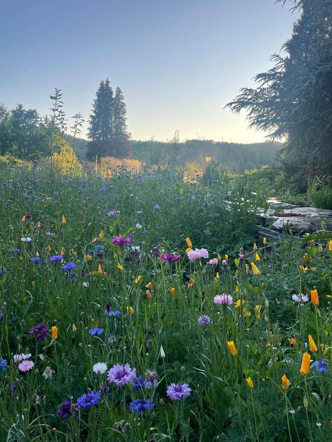 Location de vacances pour 7 personnes, avec piscine et bassin pour enfant ainsi que vue et jardin à Vresse-sur-Semois - 2