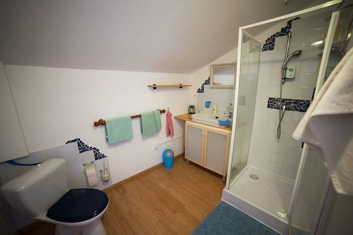 Gîte pour 19 personnes, avec piscine et jardin à Saverdun - 3