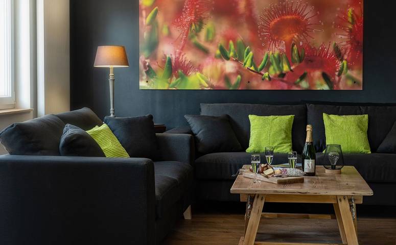 Gîte pour 10 personnes, avec sauna ainsi que terrasse et jardin à Saulxures-sur-Moselotte - 2