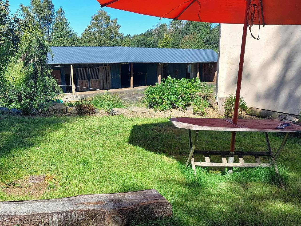Ganze Ferienwohnung, Ferienwohnung mit Hund und Pferd - Gemütliche Ferienwohnung mit Pferd und Hund in Katzwinkel (Sieg), Altenkirchen & Umgebung