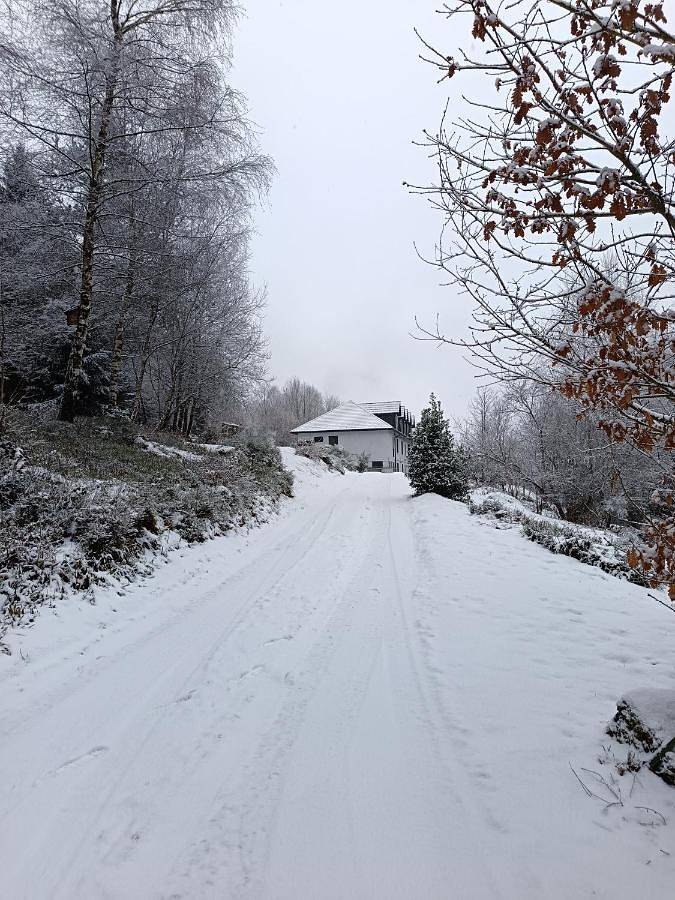 Location de vacances pour 11 personnes, avec Terrasse ainsi que Jardin et Vue à Le Syndicat - 2