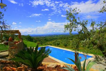 Agriturismo Con Piscina per 8 Persone in Vinci, Firenze province, Foto 1