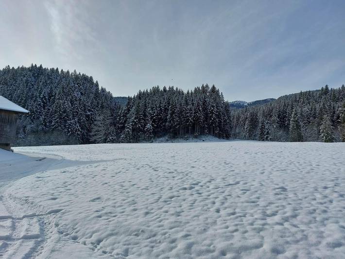Bauernhaus für 2 Personen, mit Garten und Pool sowie Balkon, kinderfreundlich in den Kitzbüheler Alpen - 3