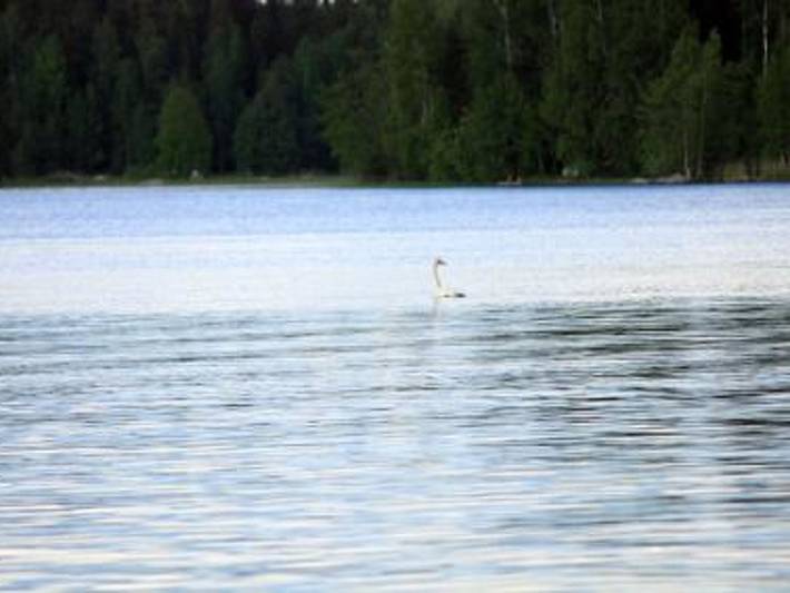 Pihlajatupa in Putaja, Pirkanmaa