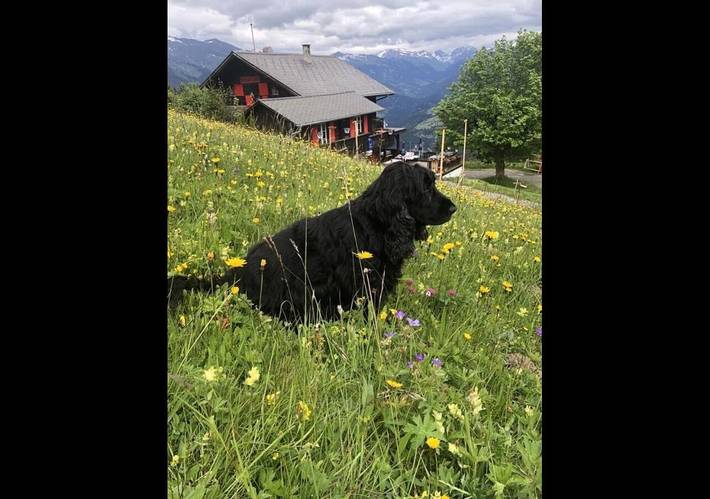 Maison d’hôte pour 2 personnes, avec terrasse ainsi que vue et jardin, animaux acceptés dans Région de Grisons - 4
