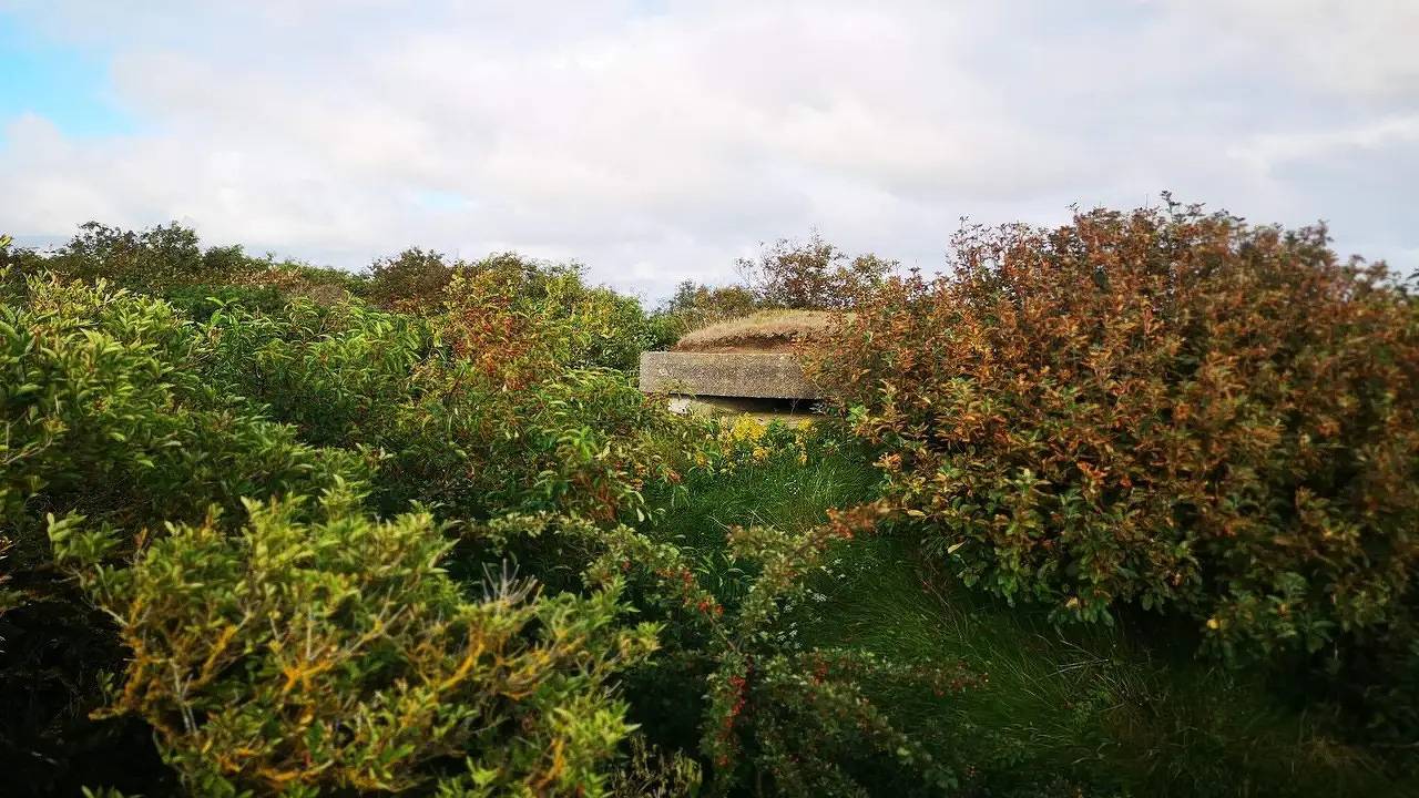 Ferienhaus für 6 Personen (72 m²) in Skjern in Skjern, Ringkøbing Fjord