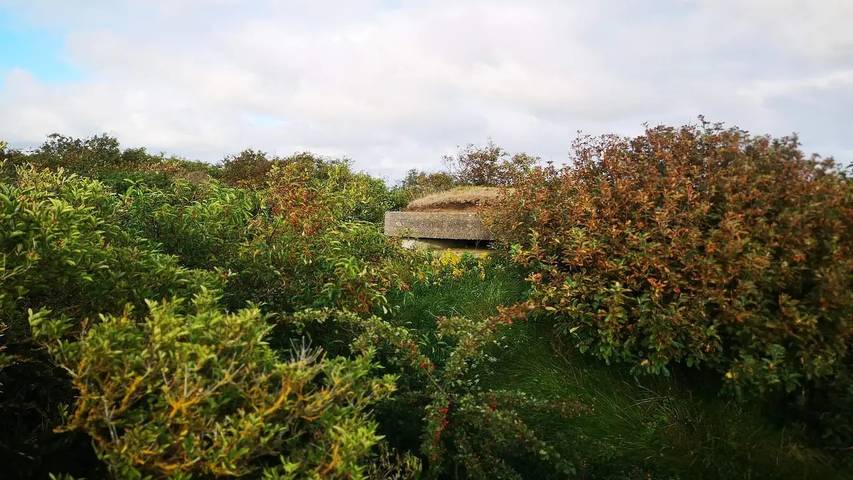 Ferienhaus für 7 Personen, mit Garten am Ringkøbing Fjord - 4