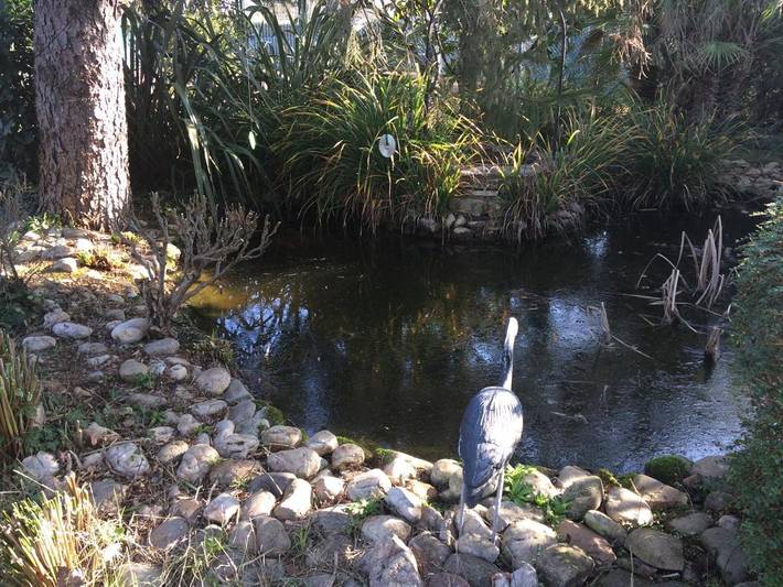 Gîte pour 2 personnes, avec jardin et piscine à Saint-Christol-lès-Alès - 2