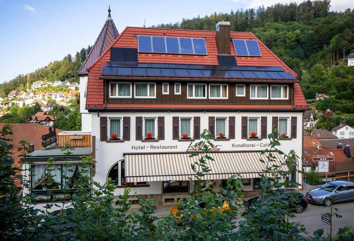 Maison d’hôte pour 3 personnes, avec Terrasse ainsi que Jardin et Vue à Triberg - 2