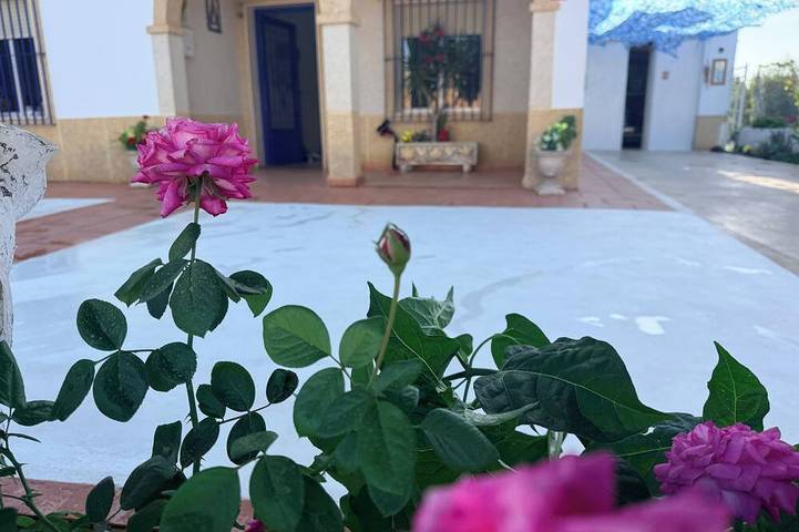 Cottage für 8 Personen, mit Garten, mit Haustier - 1