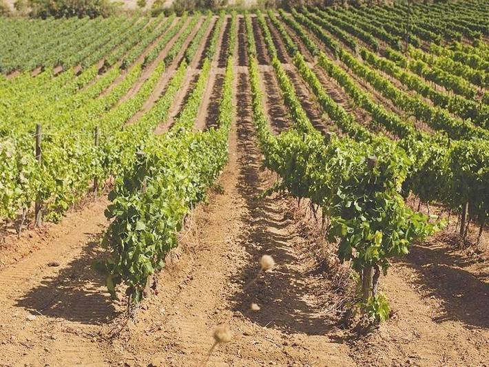 Hôtel pour 2 personnes, avec sauna et jacuzzi ainsi que jardin et piscine à Siculiana - 4