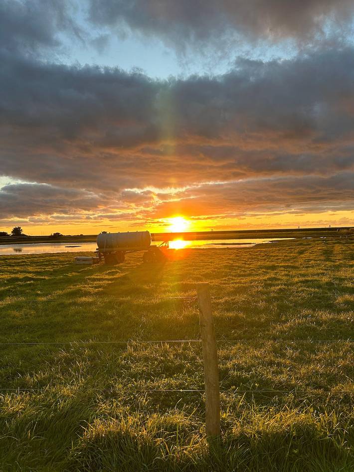 Ferienwohnung für 4 Personen, mit Garten und Terrasse, kinderfreundlich in Westfehmarn - 4