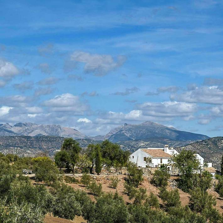 Cortijo andaluz entre olivares en Iznájar in Fuente del Conde, Iznájar