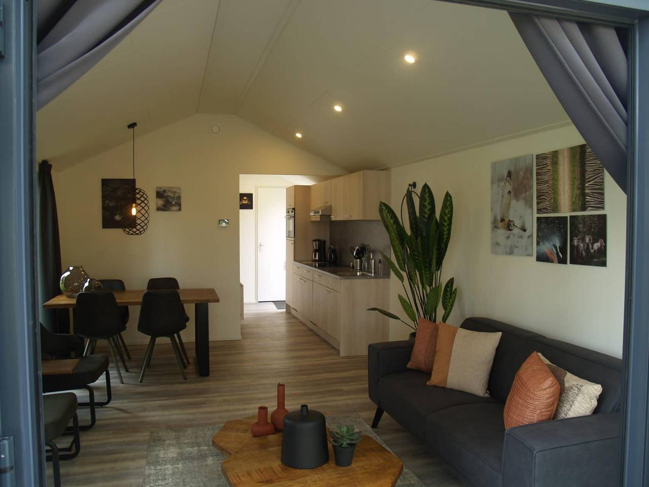 Europarcs Ruinen — Forest Lodge 4 in Ruinen, Nationalpark Dwingelderveld