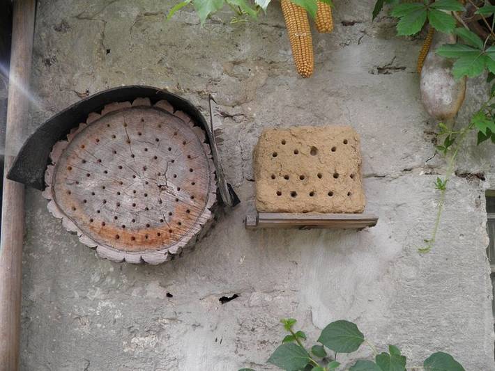 Ferienwohnung für 2 Personen, mit Balkon im Weimarer Land - 3