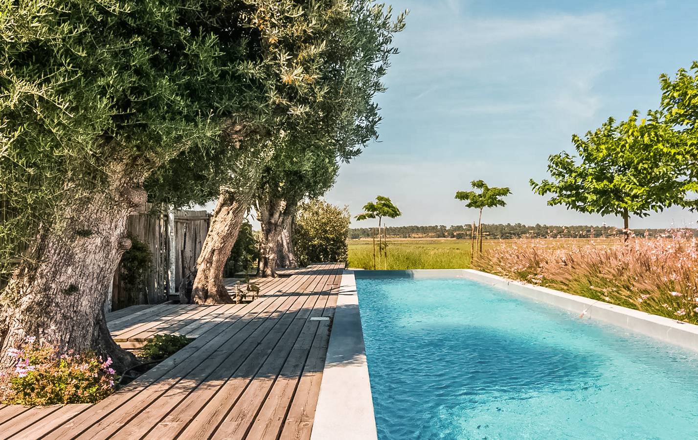 Villa Flo Flo in Praia do Carvalhal, Carvalhal