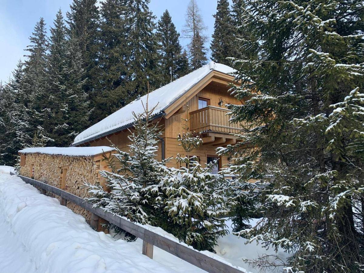 Almhütte-Flattnitz in Flattnitz, Glödnitz