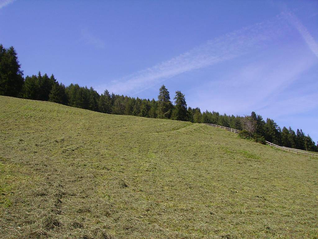 Ganze Ferienwohnung, Appartement mit 4 Schlafzimmern in Bruck am Ziller, Kitzbüheler Alpen