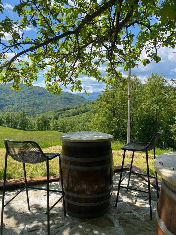 Location de vacances pour 2 personnes, avec vue ainsi que jardin et terrasse, animaux acceptés à Berceto - 3