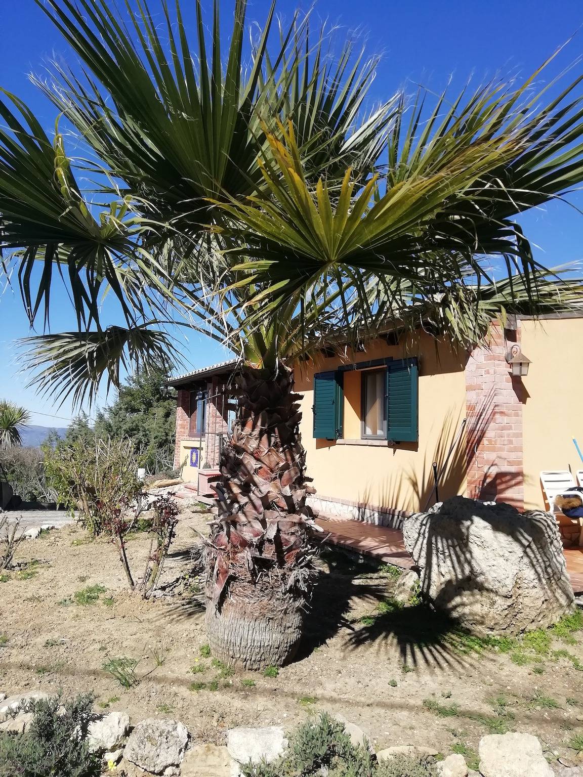 Ganze Wohnung, Gemütliches Apartment in Caltanissetta 50 m² mit Terrasse in Caltanissetta, Caltanissetta Provinz