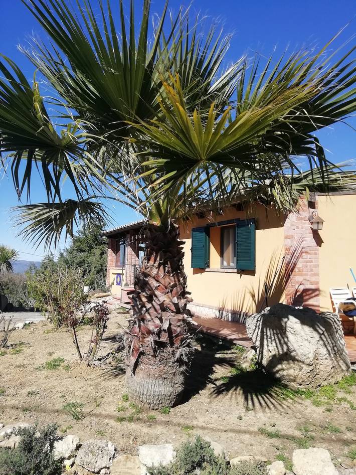 Appartement de vacances pour 4 personnes, avec terrasse, animaux acceptés - 1