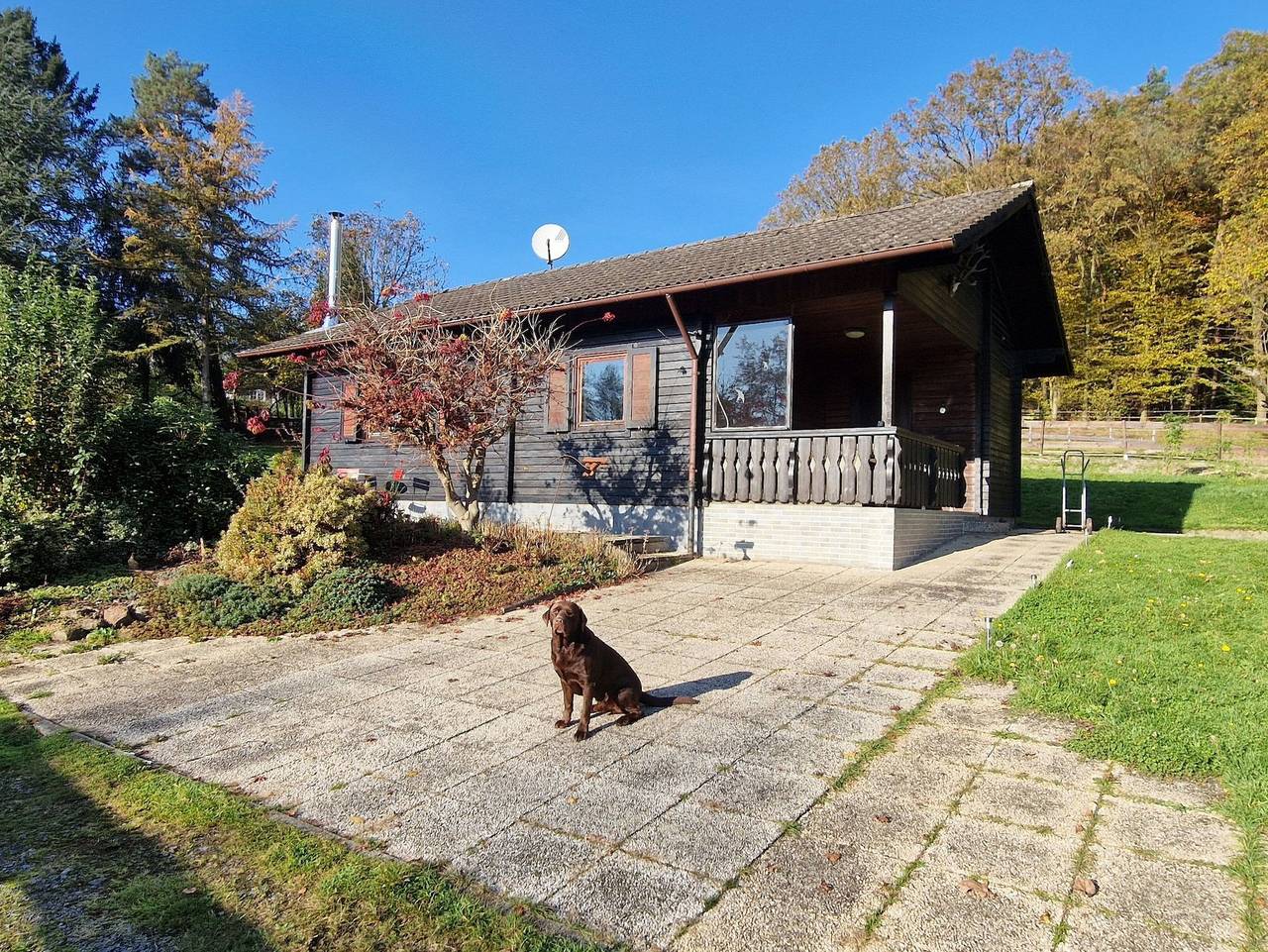 Blockhaus am Waldrand in Erbach, Odenwaldkreis