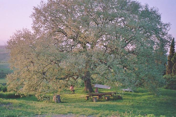 Location de vacances pour 3 personnes, avec terrasse et jardin à Pitigliano - 4
