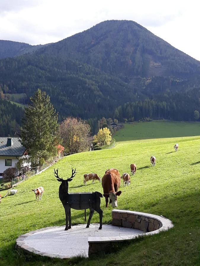 Ferienhaus für 6 Personen, mit Sauna und Garten sowie Ausblick in Hochsteiermark - 2