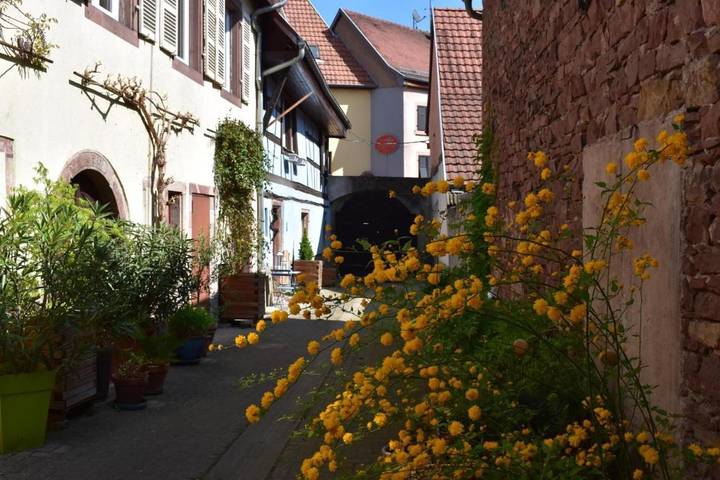 Gîte pour 4 personnes, avec piscine et jardin à Mutzig - 2