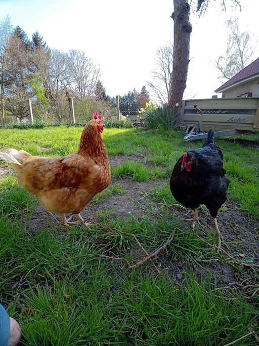 Location de vacances pour 2 personnes, avec jardin et vue à Mons-Boubert - 3