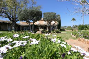 Villa in Palma, West Majorca für 12 