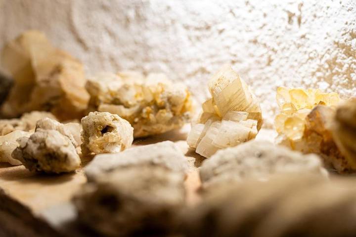 Location de vacances pour 9 personnes, avec jardin à Chançay - 4